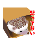 ハリネズミのカーチャ（個別スタンプ：13）