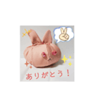 青目うさぬいと赤目うさぬい（個別スタンプ：2）