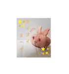 青目うさぬいと赤目うさぬい（個別スタンプ：12）
