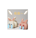 青目うさぬいと赤目うさぬい（個別スタンプ：14）