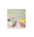 青目うさぬいと赤目うさぬい（個別スタンプ：15）