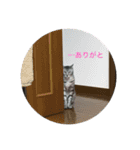 世界一かわいいそらくん（個別スタンプ：4）