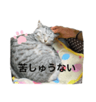 世界一かわいいそらくん（個別スタンプ：6）