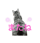 世界一かわいいそらくん（個別スタンプ：10）
