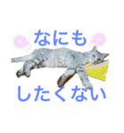 世界一かわいいそらくん（個別スタンプ：12）