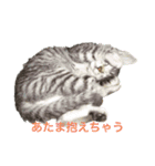 世界一かわいいそらくん（個別スタンプ：16）