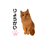 ねこのちろるのスタンプ（個別スタンプ：8）