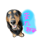 茶ベニ時々あーちゃん（個別スタンプ：8）