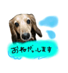 茶ベニ時々あーちゃん（個別スタンプ：12）