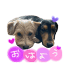 茶ベニ時々あーちゃん（個別スタンプ：14）
