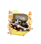 ふくももさん（個別スタンプ：2）