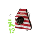 ふくももさん（個別スタンプ：4）