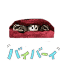 ふくももさん（個別スタンプ：7）
