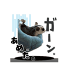 ふくももさん（個別スタンプ：8）