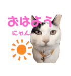 うちのきなこちゃんです（個別スタンプ：2）