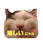 うちのきなこちゃんです（個別スタンプ：16）