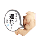 うちのきなこちゃんです（個別スタンプ：22）
