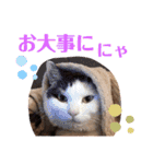 うちのきなこちゃんです（個別スタンプ：24）