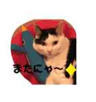 うちのきなこちゃんです（個別スタンプ：25）
