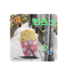 シックースタンプだよ①（個別スタンプ：5）
