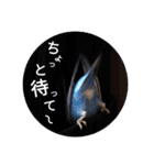 INKO PICHAN1（個別スタンプ：4）