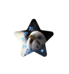 INKO PICHAN1（個別スタンプ：7）