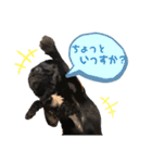 おパグで候う（個別スタンプ：3）