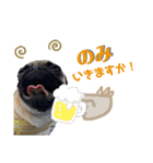 おパグで候う（個別スタンプ：7）