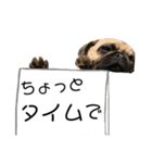 おパグで候う（個別スタンプ：10）