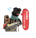 おパグで候う（個別スタンプ：16）