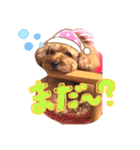 トイプードルのチャッピーさん（個別スタンプ：9）