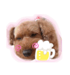 トイプードルのチャッピーさん（個別スタンプ：11）