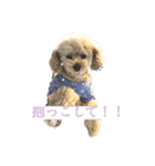 パニックプードルパニちゃん（個別スタンプ：2）