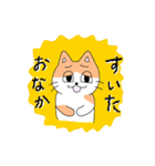 半目ねこ（個別スタンプ：5）