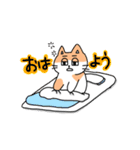 半目ねこ（個別スタンプ：8）