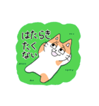 半目ねこ（個別スタンプ：9）