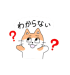 半目ねこ（個別スタンプ：11）