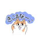 半目ねこ（個別スタンプ：12）