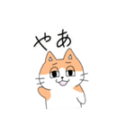 半目ねこ（個別スタンプ：13）