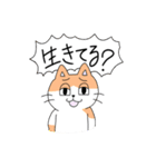 半目ねこ（個別スタンプ：14）