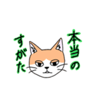 半目ねこ（個別スタンプ：24）