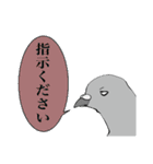 鳩ナースの日常（個別スタンプ：9）