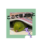 向日葵茶2（個別スタンプ：5）