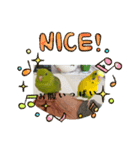 向日葵茶2（個別スタンプ：8）
