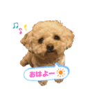 わがままティーちゃん（個別スタンプ：1）