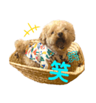 わがままティーちゃん（個別スタンプ：2）