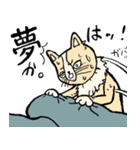 舞台猫（個別スタンプ：12）