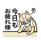 舞台猫（個別スタンプ：23）