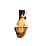 Lotusスタンプ（個別スタンプ：5）