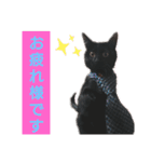 黒猫にこちゃんの日常使いスタンプ（個別スタンプ：2）